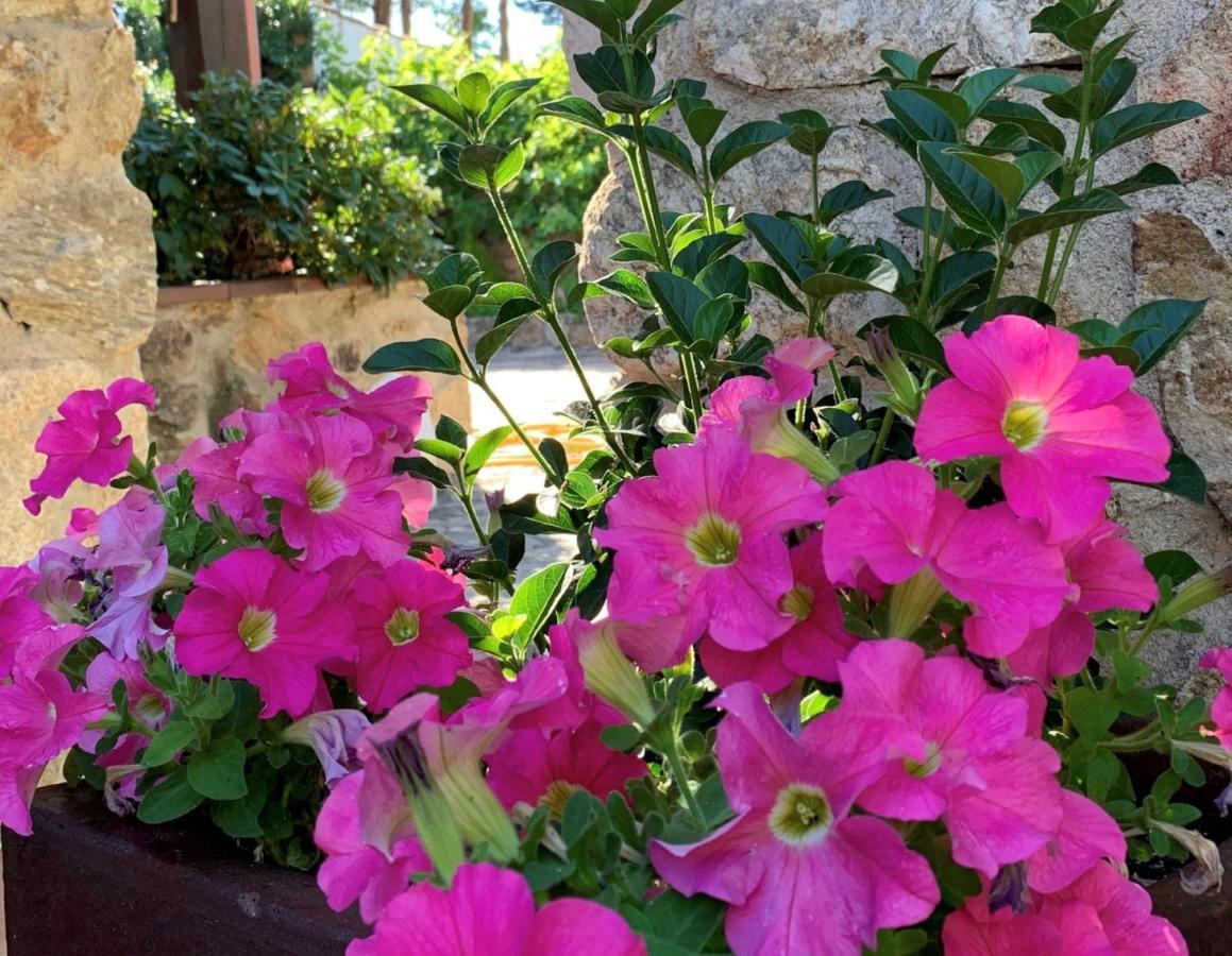Ortigosa del Monte La Casita De Las Hortensias מראה חיצוני תמונה
